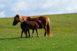 DSCF2990.JPG