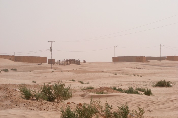 DSCF2515.JPG