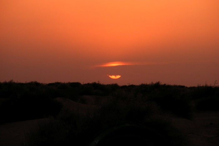 DSCF2561.JPG