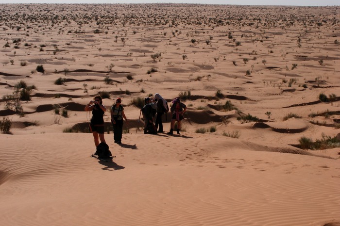 DSCF2686.JPG