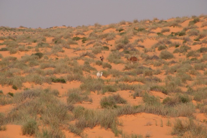 DSCF2798.JPG