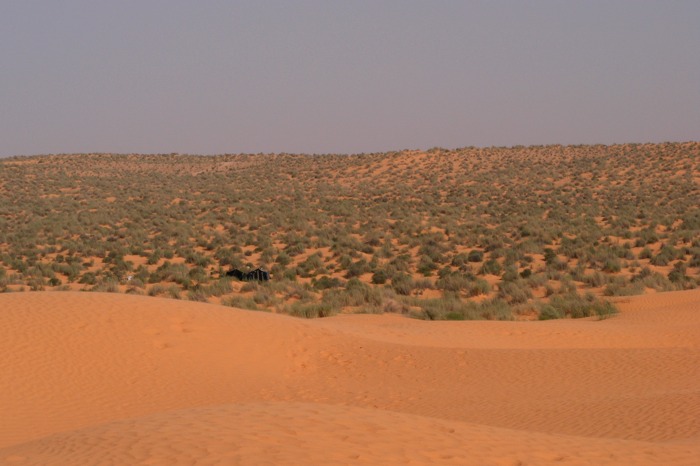 DSCF2804.JPG