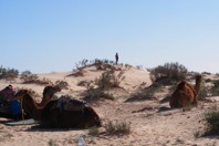 DSCF2536.JPG