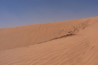 DSCF2549.JPG