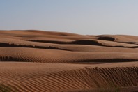 DSCF2715.JPG