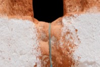 DSCF2828.JPG