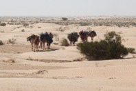 Sahara061.JPG